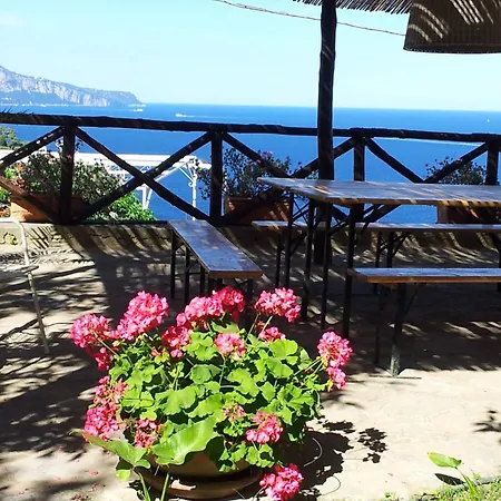 Blu * Масса-Лубренсе