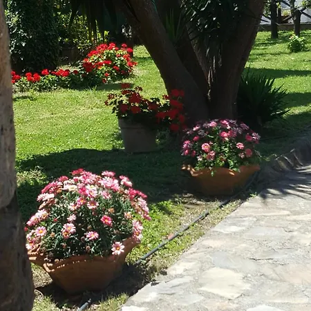 Blu Dağ evi *