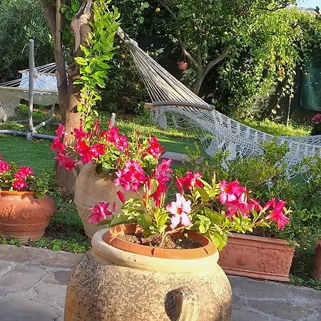 Blu Dağ evi *