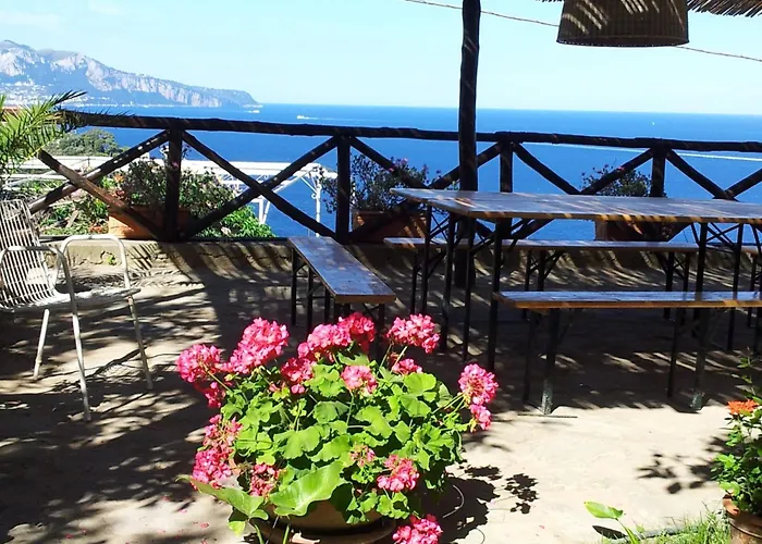 Blu * マッサ・ルブレンセ